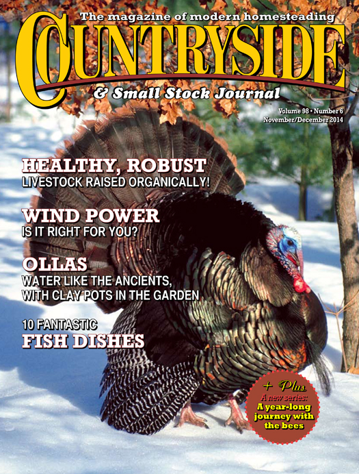 Countryside November/December 2014